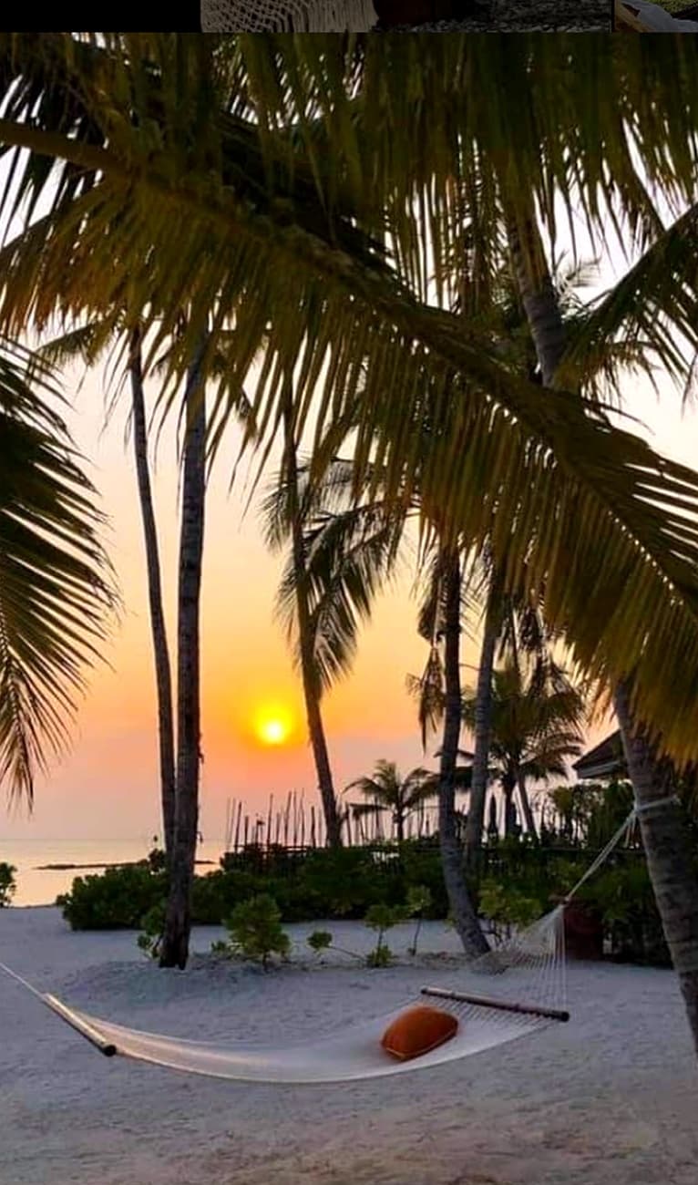 Hamaca colgada entre palmeras frente al mar al atardecer